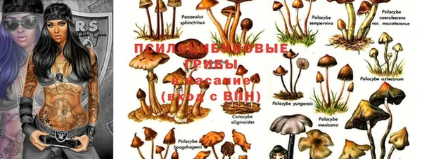 амф Балахна