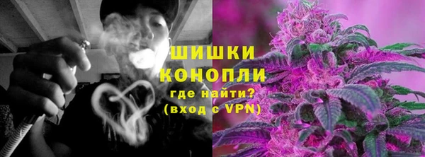 МДПВ Лиски
