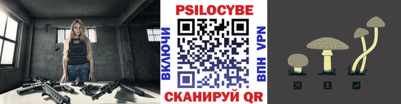 MEGA ТОР  Лебедянь  Псилоцибиновые грибы Cubensis 